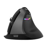 Delux M618 Mini Ergonomik Dikey Mouse Bluetooth 4.0 + 2.4ghz - Standart