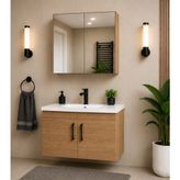 Demezler Mobilya Modern Luna 65 cm Ahşap MDF Banyo Dolabı Takımı Aynalı Üst Modül ve Seramik Lavabolu