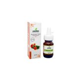 Destek 20 cc Aynısafa Yağı