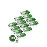Dex 120'li Aloe Vera Islak Havlu