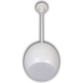 Dexun S-6 Sarkıt Hoparlör 50 WATT/100V