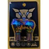 Diadem Ampul 12 V 2 Adet