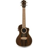 Die Grup Tr Zr-Cec Zirocote Elektro Ukulele