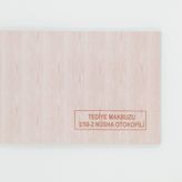 DİLMAN TEDİYE MAKBUZU