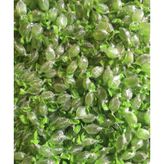 Dilşeker 250 gr Naneli ve Mentollü Şeker