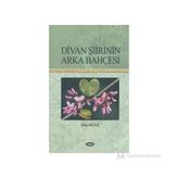 Divan Şiirinin Arka Bahçesi - Mine Mengi