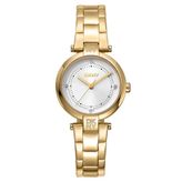 DKNY DK1L043M0055 Kadın Kol Saati