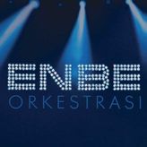 Dmc Enbe Orkestrası Plak