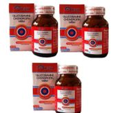 DNZ Glucosamine Chondroitin MSM 3x90 Tablet