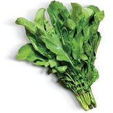 Doğal Roka Fidesi (5 Adet)