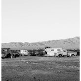 Dogs Chasing My Car in the Desert
