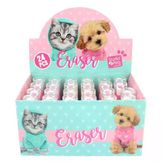 Dolphin Studio Ruj Silgi Pets (24 Lü Paket) Pt-132795
