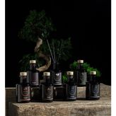 Doqu Home Etna Çubuklu Oda Kokusu - 200 ml - Şeffaf