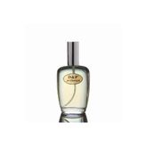 D&P Perfumum A2 EDP 50 ml Erkek Parfüm