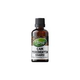 Dr. Floya Çam Terebentin Esansı 50 Ml. (Saf)