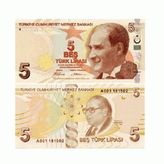Düğün Parası - 100 Adet 5 TL