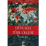 Dünyada Türk Olgusu - Faruk Şen