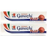 DXN Ganozhi Plus Diş Macunu Ganoderma (1 Kutu)