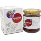 Dynabeille Propolis Arı Sütü Polen Karışımı 230 gr
