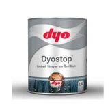 Dyo 2.5 lt Rutubetli Yüzey Boyası