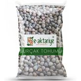 E-Aktariye 100 gr Burçak Tohum