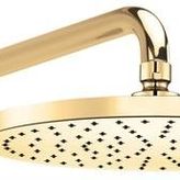 E.C.A 102845034 Altın Duş Başlığı