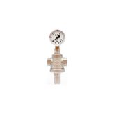 E.c.a 3/4" Su Basınç Düşürücü Regülatör 602111010