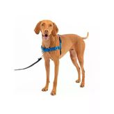 Easy Walk Köpek Koşum Takımı