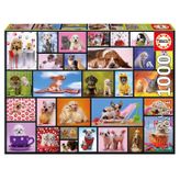 Educa Shared Moments 1000 Parça Puzzle