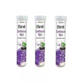 Efervit Sambucus Nigra Efervesan 20 Tablet 3 Adet