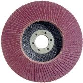 Egesan 115 mm 80 Kum Flap Disk