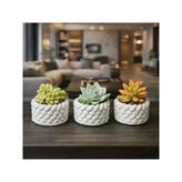 El Yapımı Mini Saksı Seti, 5 Cm, Modern Beton Tasarım