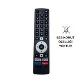 Electroon BOTECH Google Play Android TV Kumandası - Ses Komutsuz
