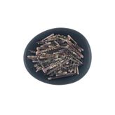 ELGALA Deniz Kabuğu Doğal Midye Kabuğu 100 Gram Kestane Dikeni Tiger İnce