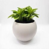 Elite Küre Saksı Modern Dekoratif Plastik Saksı 7,5 Litre (Içsiz) 1 Adet
