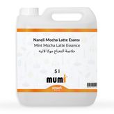 Elito 5 lt Premium Naneli Mocha Latte Esansı