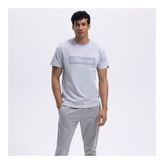 Ellesse Erkek TişörtGri