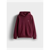 Ellesse Kapüşonlu Kadın Sweatshirt 6WF2004-BRD