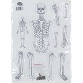 Elux Karton Iskelet Seti - Maket