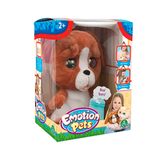 Emotion Pets Evcil Hayvanlar