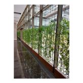 Empressco 180 Cm Bambu Seperatör Paravan 100x180 Cm