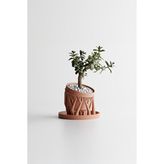 Empressco 🌿 Kökana Modern Saksı — UHD (Uzay Home Design)