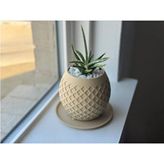 Empressco Petek Desenli Oval Şeklinde Modern Şık Saksı
