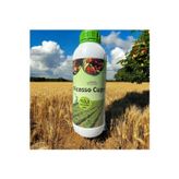 Empressco PİCASSO 1 LT SIVI BAKIR