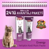 Energy Cat Food 24x100 gr Yetişkin Kedi Multi Paste