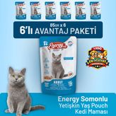 Energy Cat Food Somonlu Yetişkin yaş 6x85 gr Kedi Maması