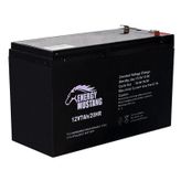 Energy Mustang 12 Volt 7 Amper Akü