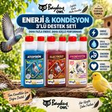 Enerji & Kondisyon 3’Lü Destek Seti