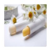 Enigma Lip Balm Nemlendirici