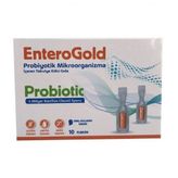 Enterogold Yetişkin Probiotic 10 Flakon